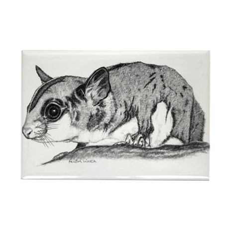 460x460 Sugar Glider Magnets - Sugar Glider Sketch