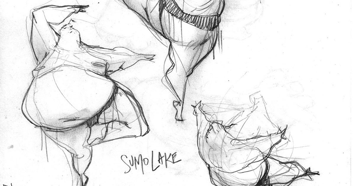 1200x630 Sumo Lake Why - Sumo Sketch