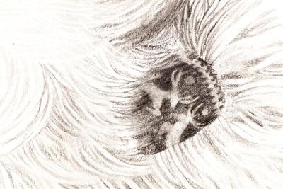 400x267 East Of The Moon West Of The Sun Original Sketch - Sun Moon Sketch