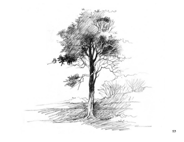 638x493 Pencil Sketching - Sun Pencil Sketch