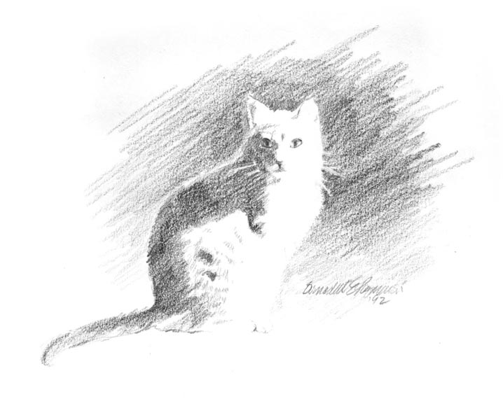 718x600 Portraits Of Animals - Sun Pencil Sketch