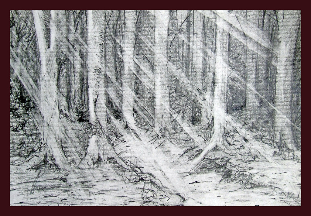 1024x711 Woodland Sun - Sun Pencil Sketch