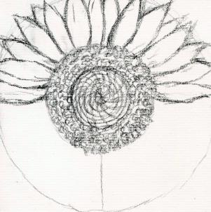301x302 Collection Of Shaded Sunflower Drawing High Quality, Free - Sunflower Pencil Sketch