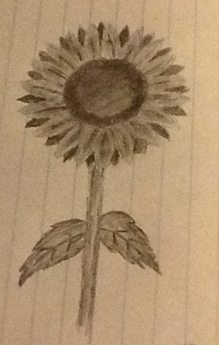 310x488 Sunflower Pencil Sketch By Izzyisawesome99 - Sunflower Pencil Sketch