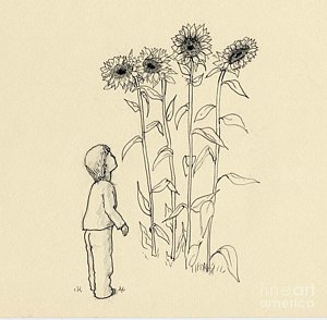 300x294 Boy And Sunflowers Drawing By Gill Kaye - Sunflower Sketch