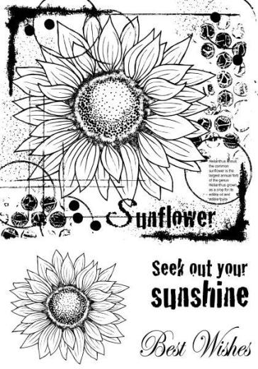 364x520 Jgb004 Sunflower Sketch - Sunflower Sketch Images