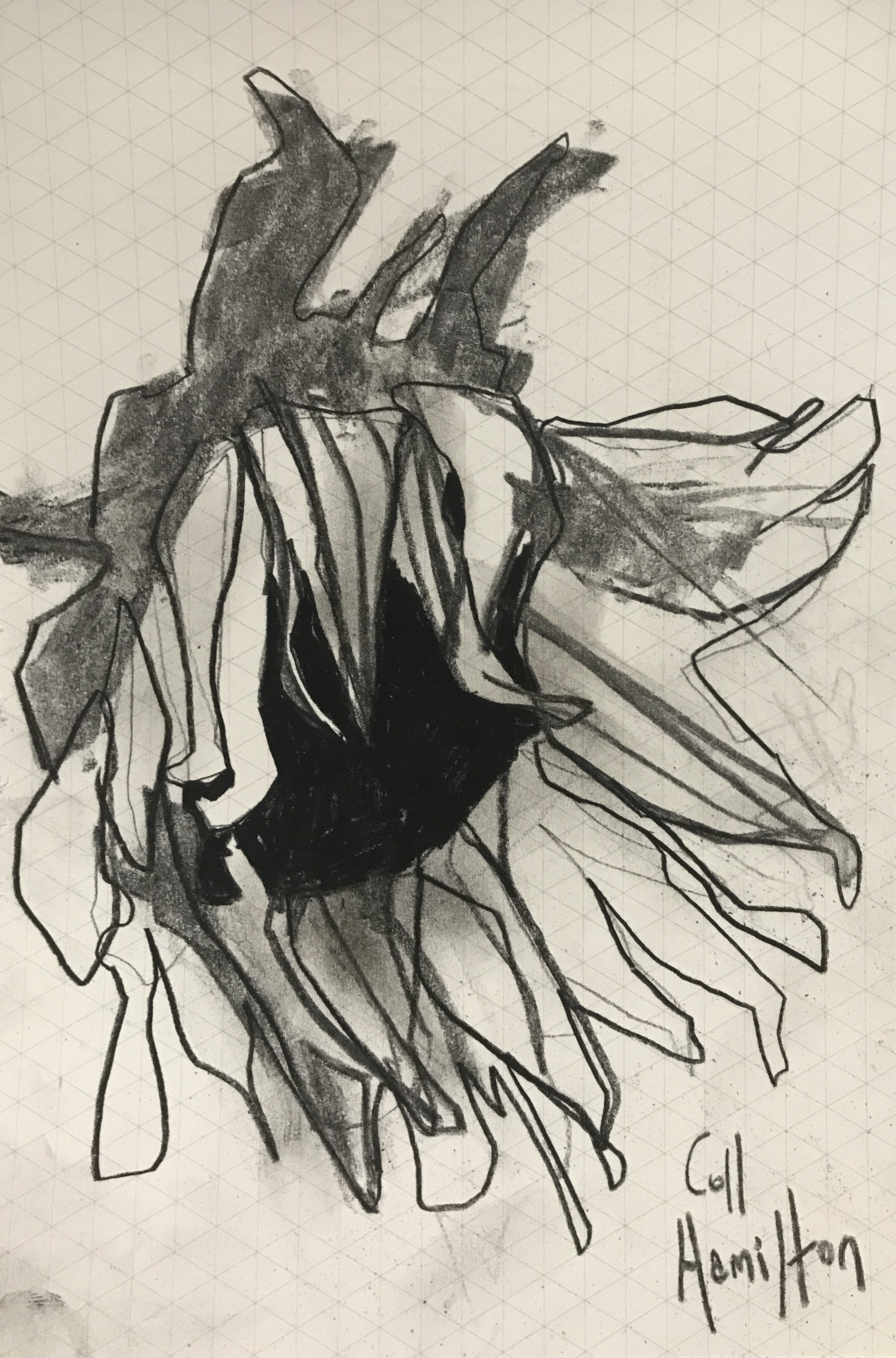 2283x3459 Sunflower Sketch Ii - Sunflower Sketch Images
