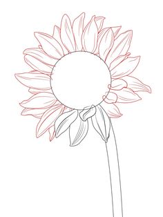 236x314 97 Best Drawing - Sunflower Sketch Images