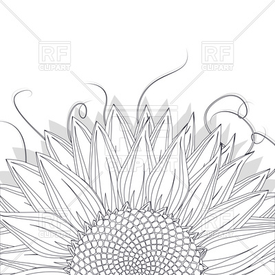 400x400 Sunflower Sketch On White Background Vector Image Vector Artwork - Sunflower Sketch Images