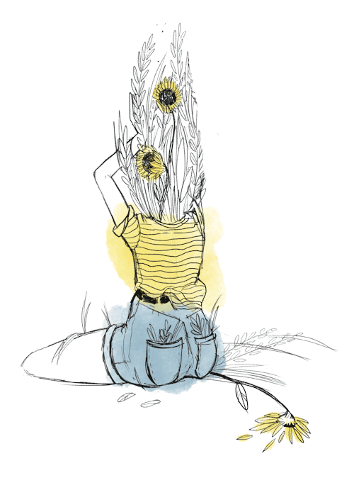 500x674 Sunflower Sketch Tumblr - Sunflower Sketch Images