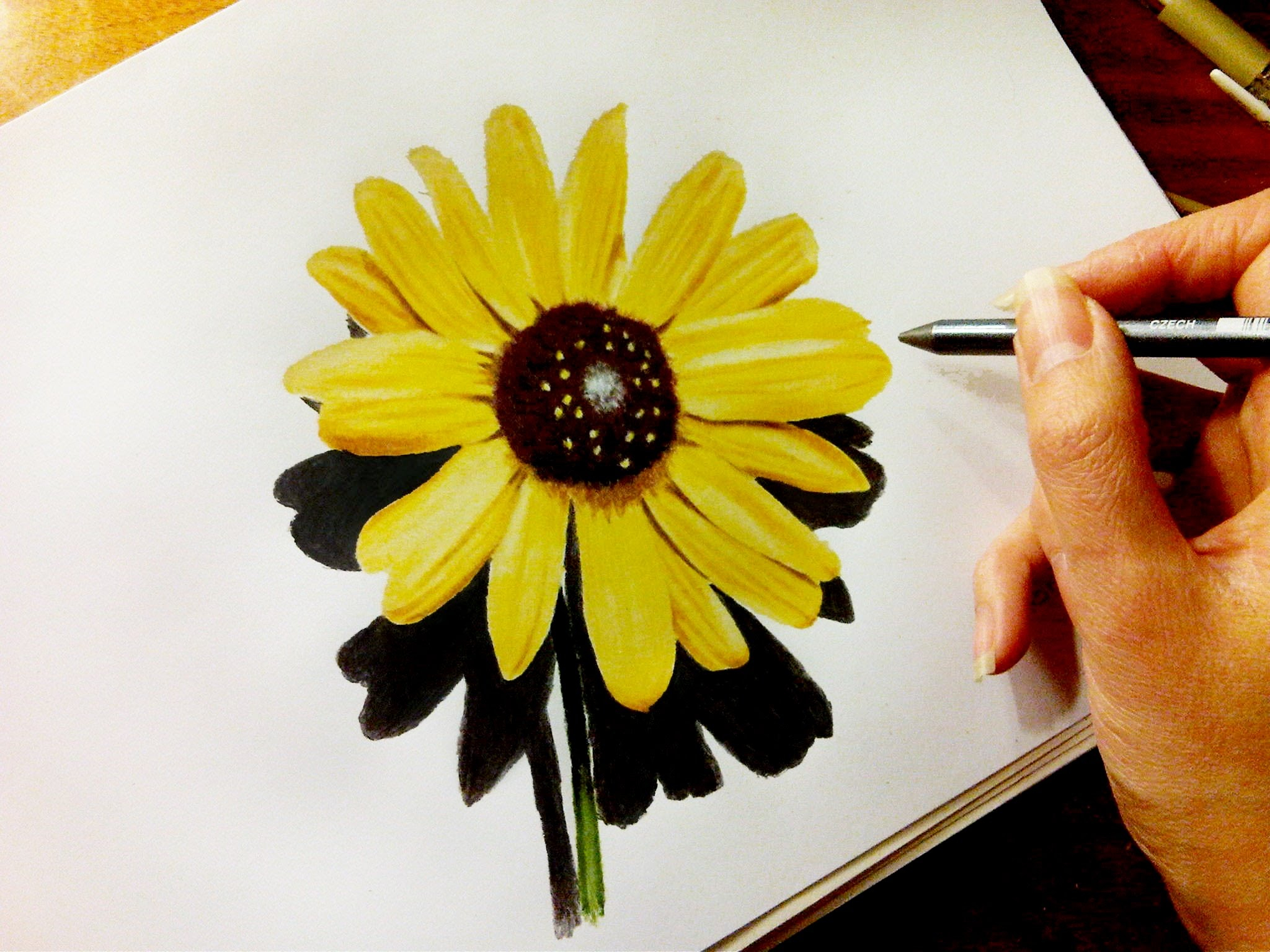 2048x1536 Simple Sunflower Drawing How To Draw And Sketch A Sunflower Using - Sunflower Sketch Simple