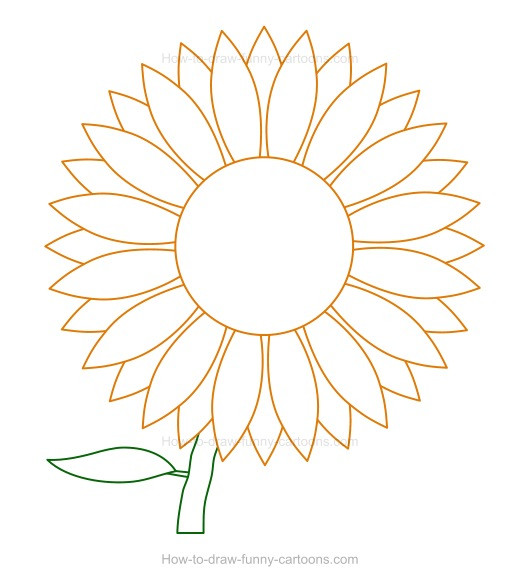 520x581 Sunflower Images For Drawing Charcoal Drawings Sunflowers - Sunflower Sketch Simple