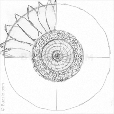 400x400 Colors Of Soot Tips On How To Draw With Charcoal - Sunflower Sketch Simple