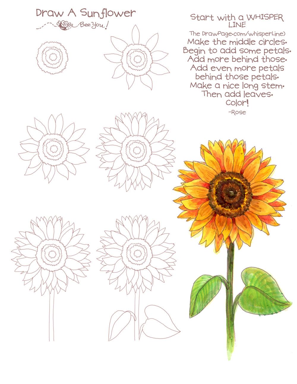 1000x1294 Drawing A Sunflower Draw Pages From - Sunflower Sketch Simple