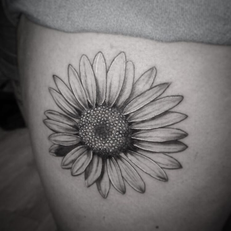 750x750 Leehumphs - Sunflower Tattoo Sketch