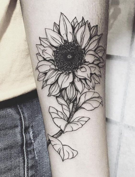 564x735 Sunflower Tattoos For Women - Sunflower Tattoo Sketch