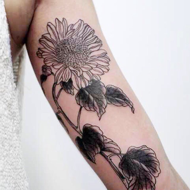 640x640 Bright Sunflower Tattoos - Sunflower Tattoo Sketch
