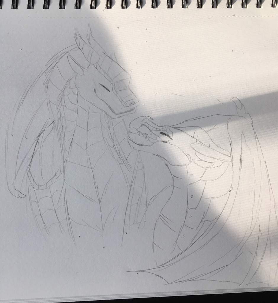 939x1024 Sunny And Clay Sketch Wings Of Fire Wof Amino - Sunny Sketch