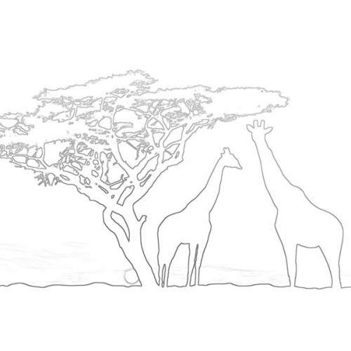 500x500 Giraffes - Sunset Sketch