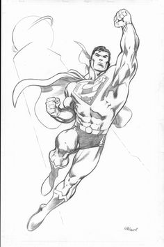 236x354 Easy Superman Drawings Sketches Another Superman By Nose - Superman Sketch Drawing