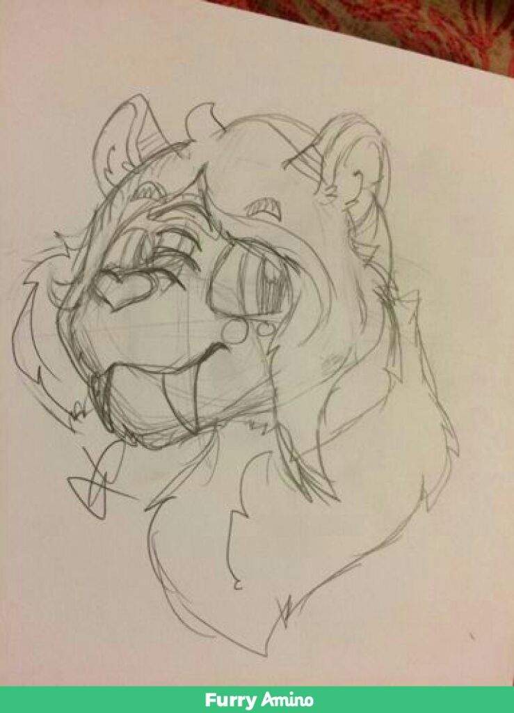 739x1024 Surprise Sketch!! Furry Amino - Surprise Sketch
