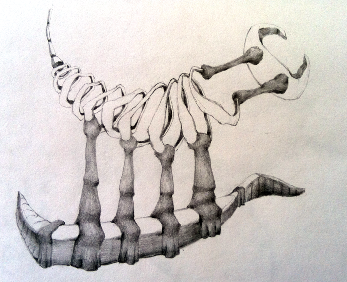 700x569 My Old Sketches Surrealism - Surrealism Sketches