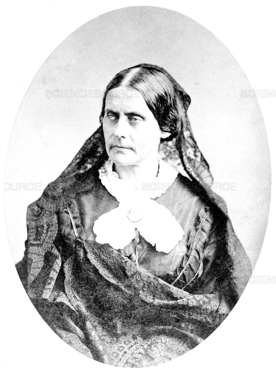 892x1200 Science Source - Susan B Anthony Sketch