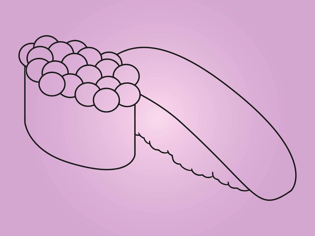 1024x768 Sushi Drawing Vector Art Amp Graphics - Sushi Sketch