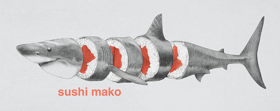 900x359 Sushi Mako Drawing By Eric Fan - Sushi Sketch