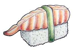 273x177 Color Pencil Sushi Sketch Tumblr - Sushi Sketch