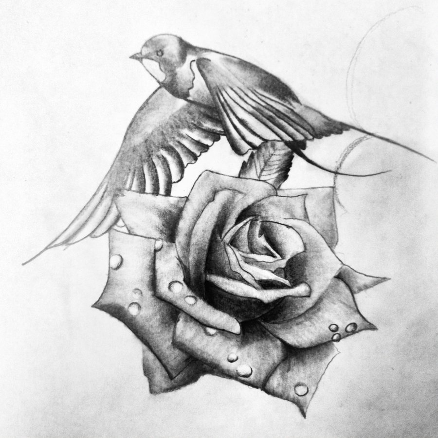 900x900 Collection Of Swallow Bird With Stars Tattoo Design - Swallow Bird Sketch
