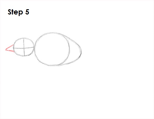 500x386 How To Draw A Swallow - Swallow Bird Sketch