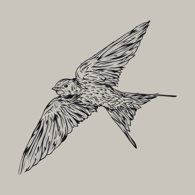 630x630 Swallow - Swallow Bird Sketch