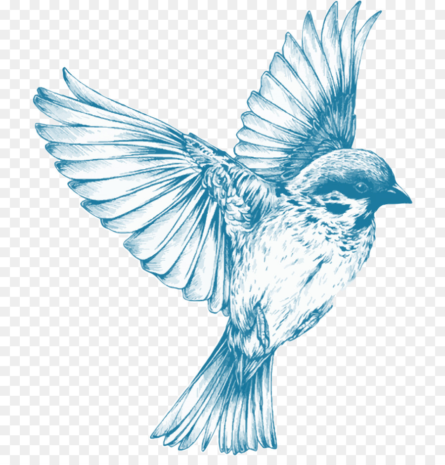 900x940 Sparrow Bird Swallow Drawing Sketch - Swallow Sketch