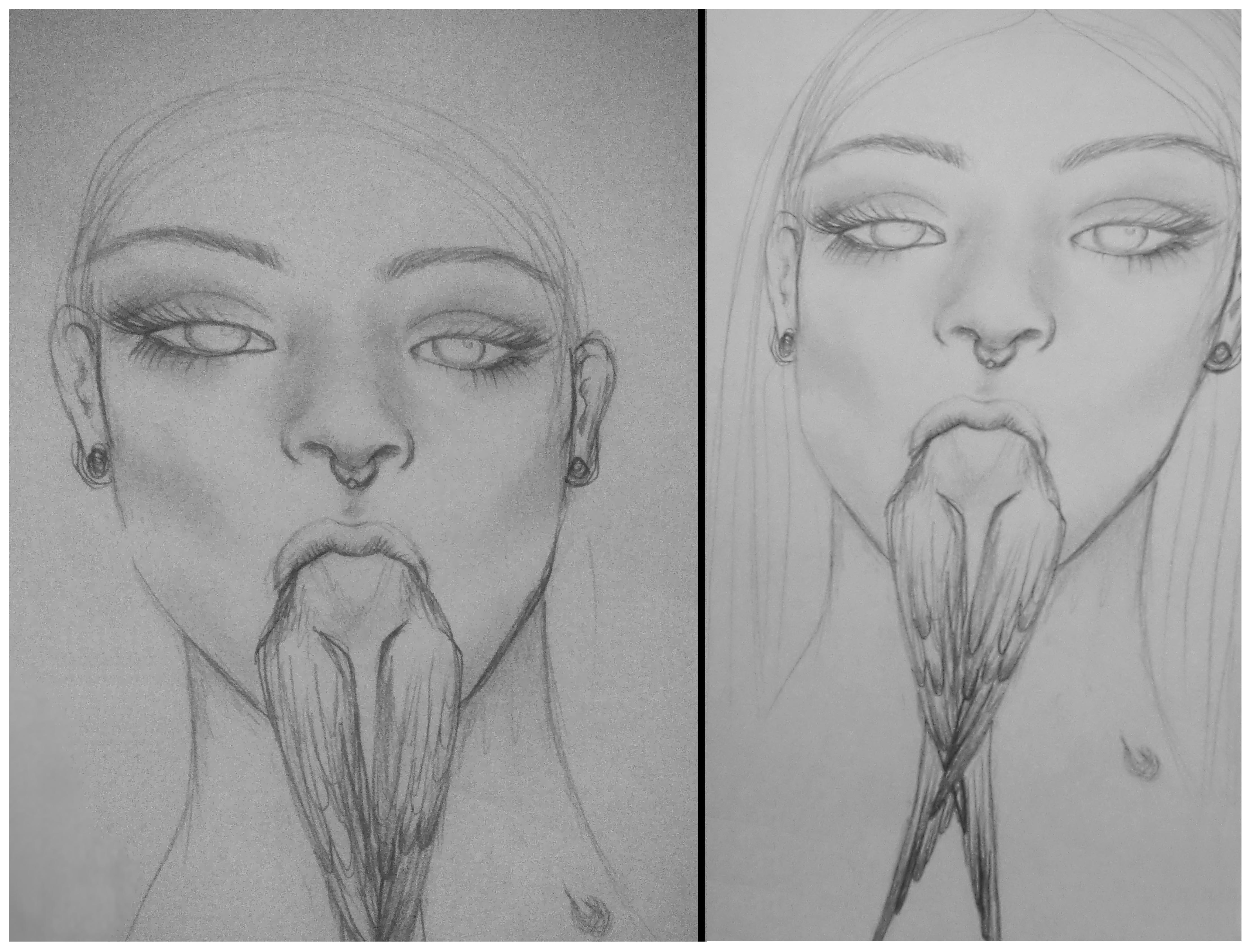 4455x3378 Swallow Sketch Mortani - Swallow Sketch