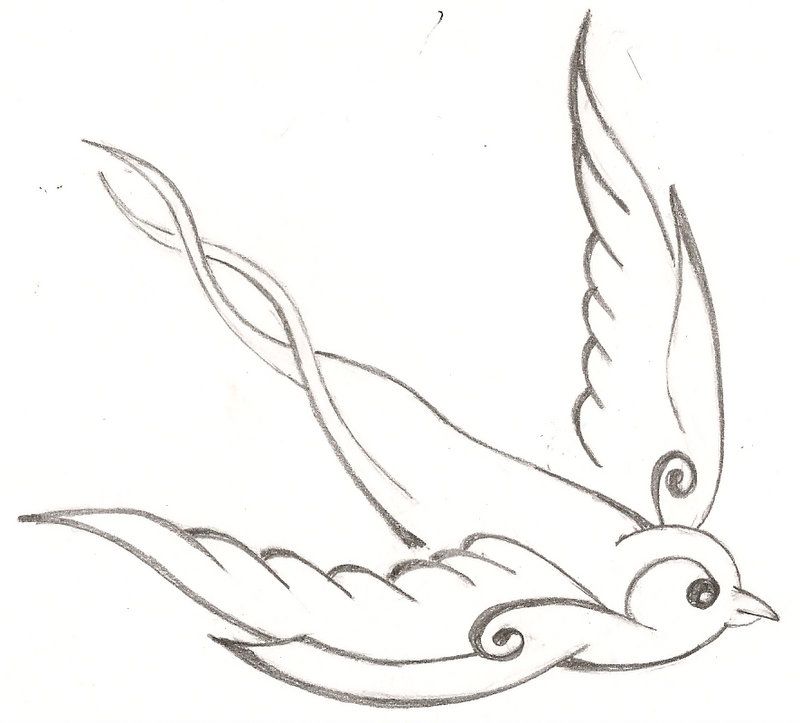 800x723 Swallow Sketch, Tattoo Style Sketches Sketch - Swallow Sketch