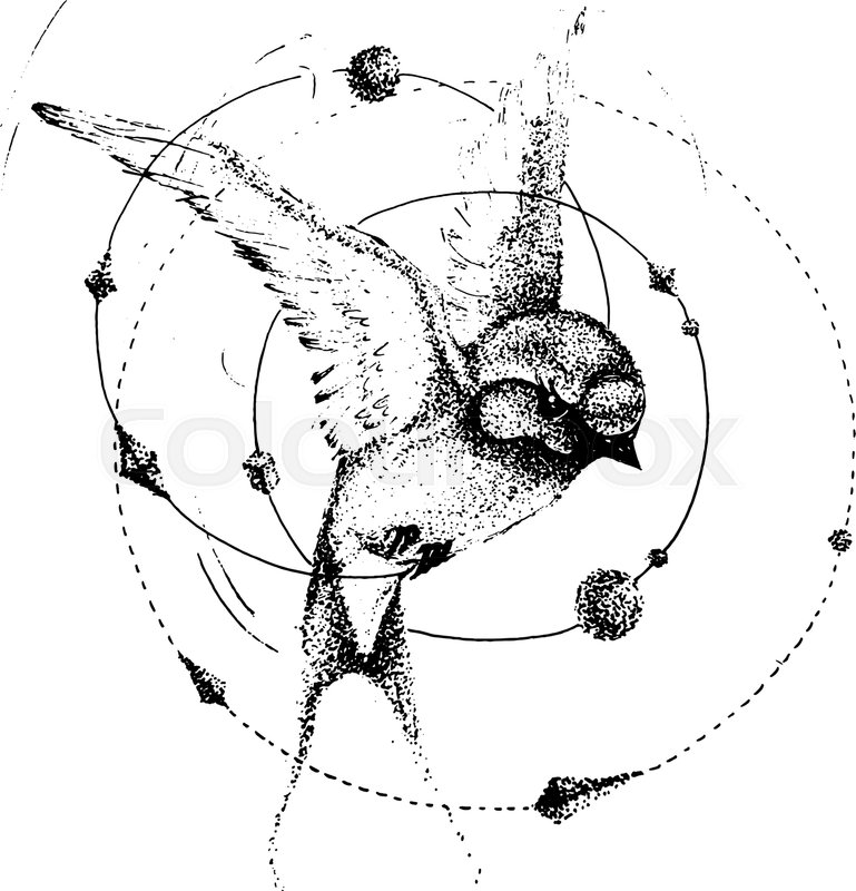 769x800 Hand Drawn Swift Or Swallow. Tattoo Theme. Vector Sketch - Swallow Sketch