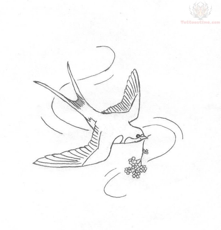 729x760 Swallow Tattoo Design Sketch - Swallow Tattoo Sketch