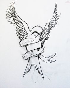 236x298 The 39 Best Swallow Bird Tattoo Drawing Designs Images On - Swallow Tattoo Sketch
