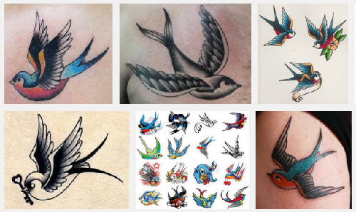 500x298 15 Beautiful Swallow Tattoo Designs With Meanings Styles At Life - Swallow Tattoo Sketch