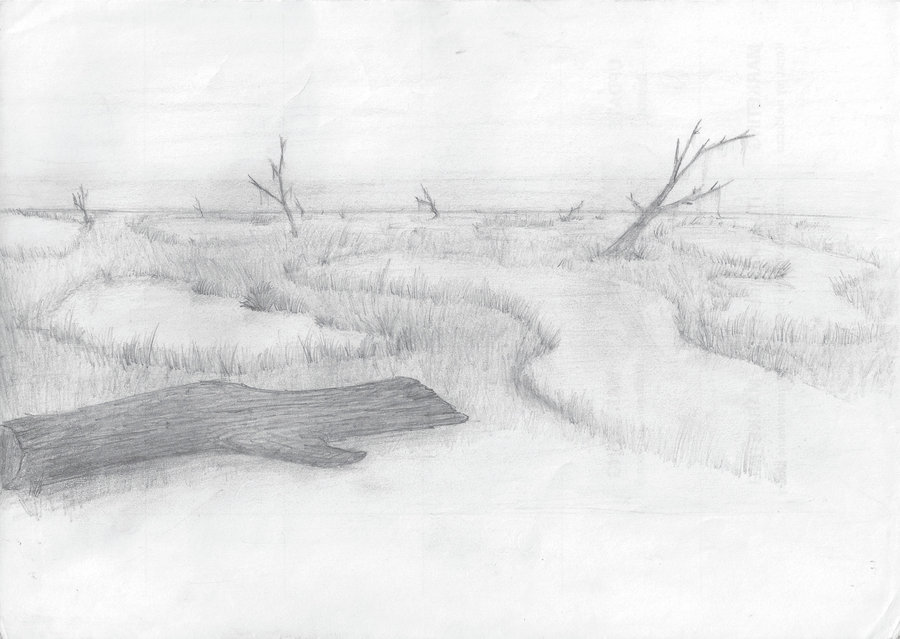 900x639 Swamp Sketch By Wlodarczykmaciej - Swamp Sketch
