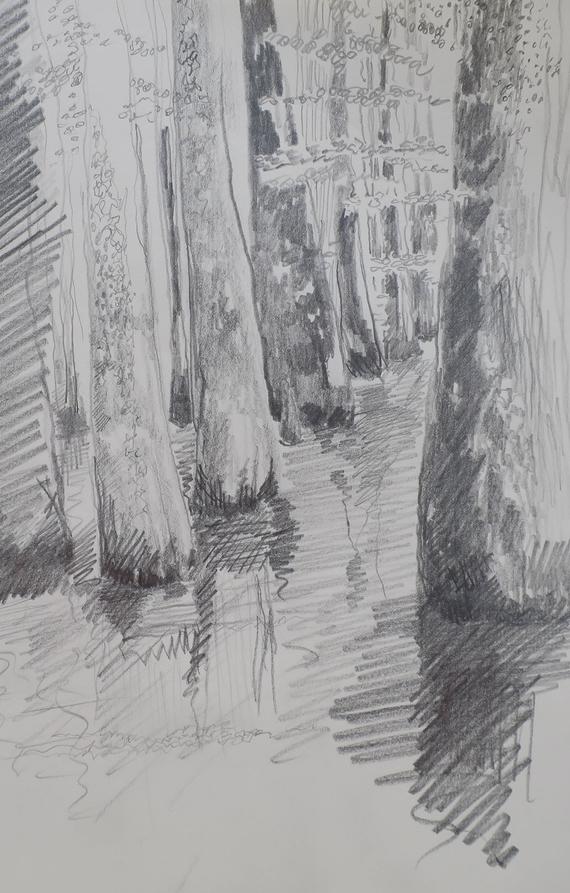 570x893 Graphite Sketch Of Cypress Swamp Original Pencil Drawing Etsy - Swamp Sketch