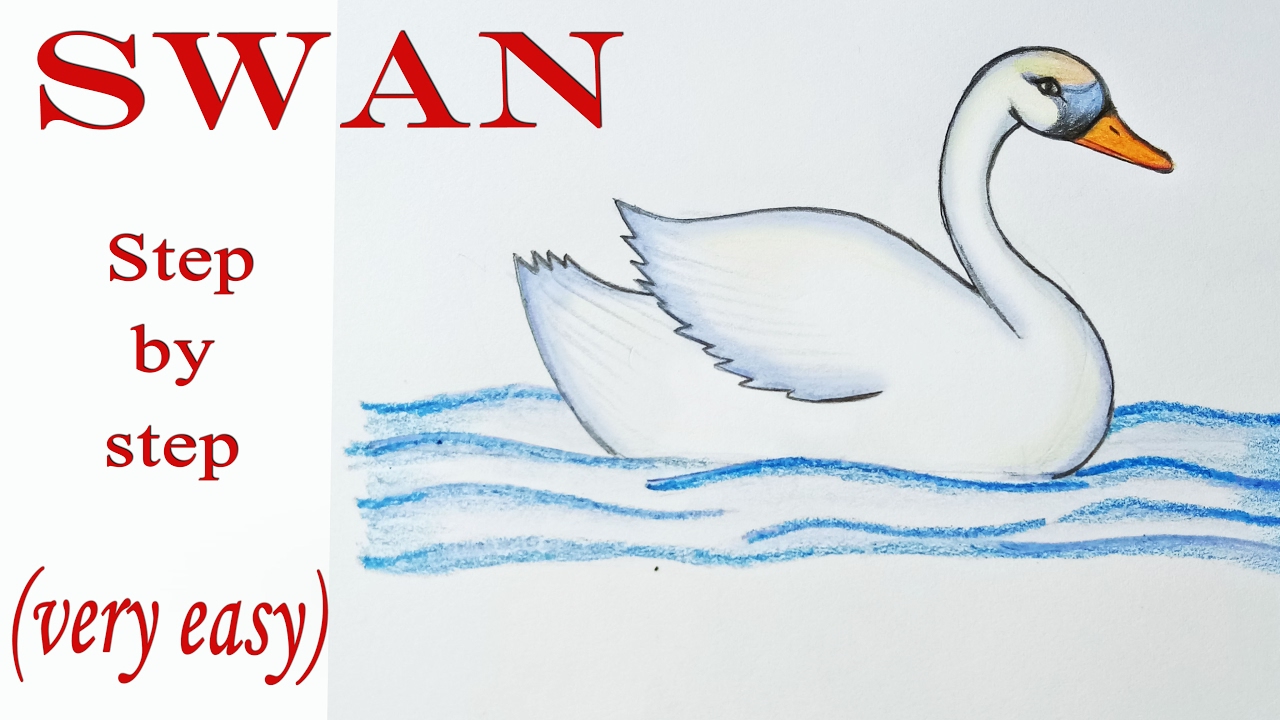 1280x720 How To Draw A Swan Step By Step (Very Easy) - Swan Drawing Sketch