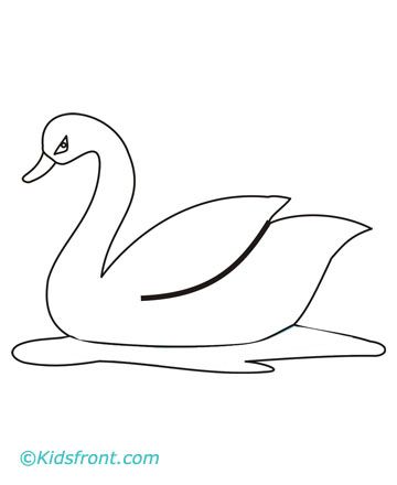 360x440 Photos Swan Coloured Drawing For Kids, - Swan Drawing Sketch