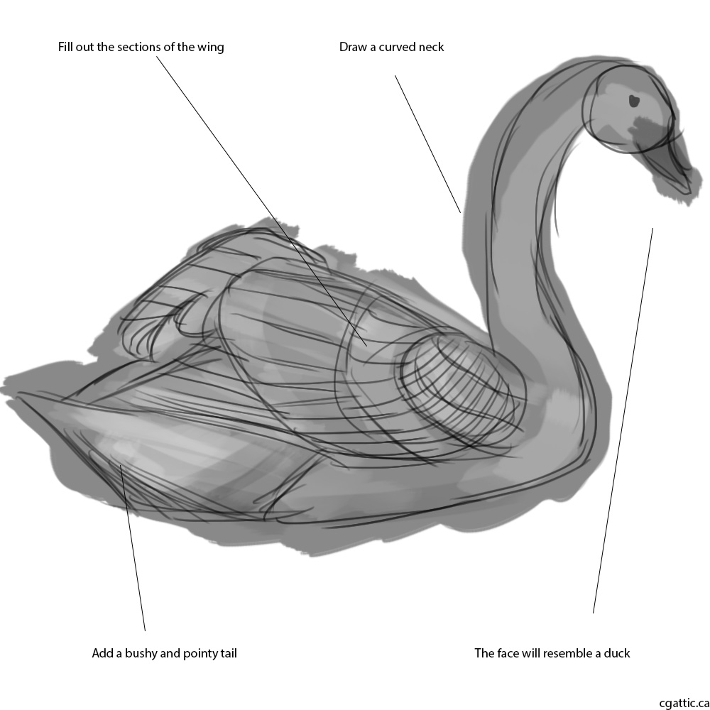 Как нарисовать крыло утки
