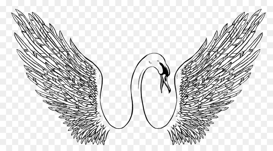 900x500 Black Swan Visual Arts Drawing Illustration - Swan Drawing Sketch