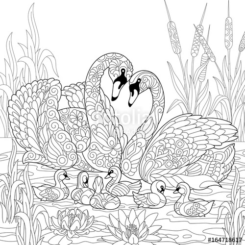 500x500 Coloring Book - Swan Drawing Sketch