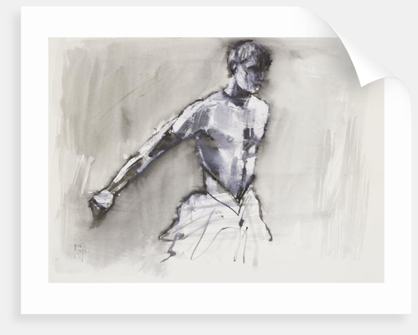 850x681 Swan Lake Posters Amp Prints By Mark Adlington - Swan Lake Sketch