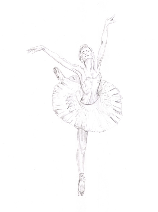 523x700 Tracey Carmen Artwork Pencil Drawing From Swan Lake Ballet - Swan Lake Sketch