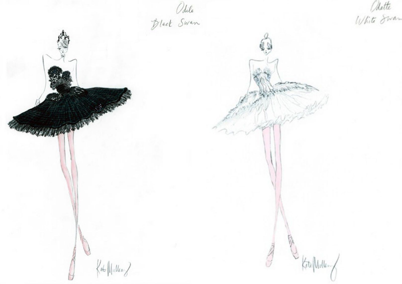 1600x1132 Swan Lake Black Swan And White Swan - Swan Lake Sketch